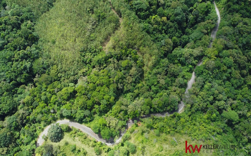 162 acres, 65 hectares. Large farm. Ocean view, Land for sale, Real estate for sale, Properties for sale, Bienes raices, Teak Farm, Keller Williams, Waterfall, Surf property, Pavones Point, Pilon main point, Salea, 