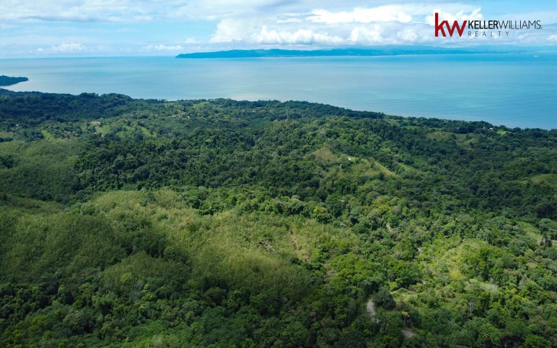 162 acres, 65 hectares. Large farm. Ocean view, Land for sale, Real estate for sale, Properties for sale, Bienes raices, Teak Farm, Keller Williams, Waterfall, Surf property, Pavones Point, Pilon main point, Salea, 