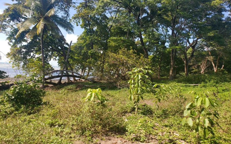 24 hectares for sale, Punta Burica Costa Rica, Costa Rica real estate, Real estate for sale, Land for sale, Beach front, Ocean front, Mountain property for sale, Keller Williams, Pavones, Costa Rica