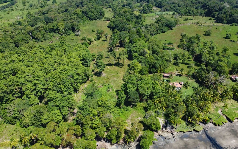 24 hectares for sale, Punta Burica Costa Rica, Costa Rica real estate, Real estate for sale, Land for sale, Beach front, Ocean front, Mountain property for sale, Keller Williams, Pavones, Costa Rica