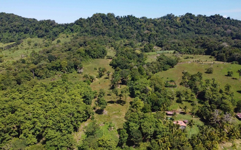 24 hectares for sale, Punta Burica Costa Rica, Costa Rica real estate, Real estate for sale, Land for sale, Beach front, Ocean front, Mountain property for sale, Keller Williams, Pavones, Costa Rica