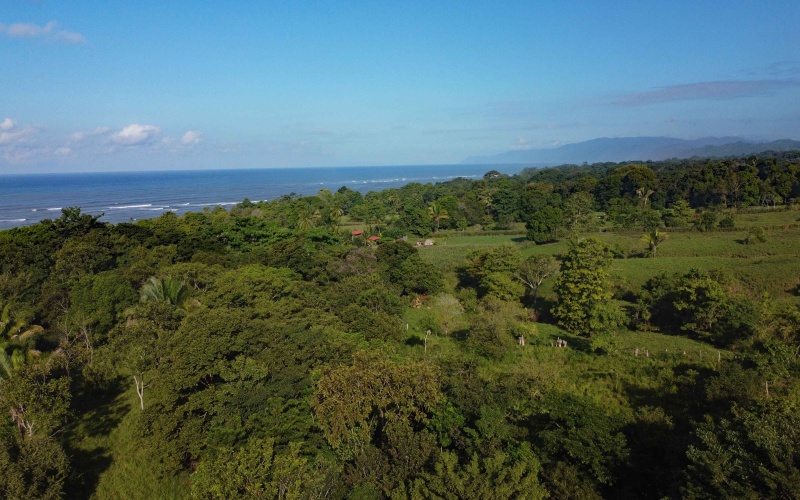 24 hectares for sale, Punta Burica Costa Rica, Costa Rica real estate, Real estate for sale, Land for sale, Beach front, Ocean front, Mountain property for sale, Keller Williams, Pavones, Costa Rica