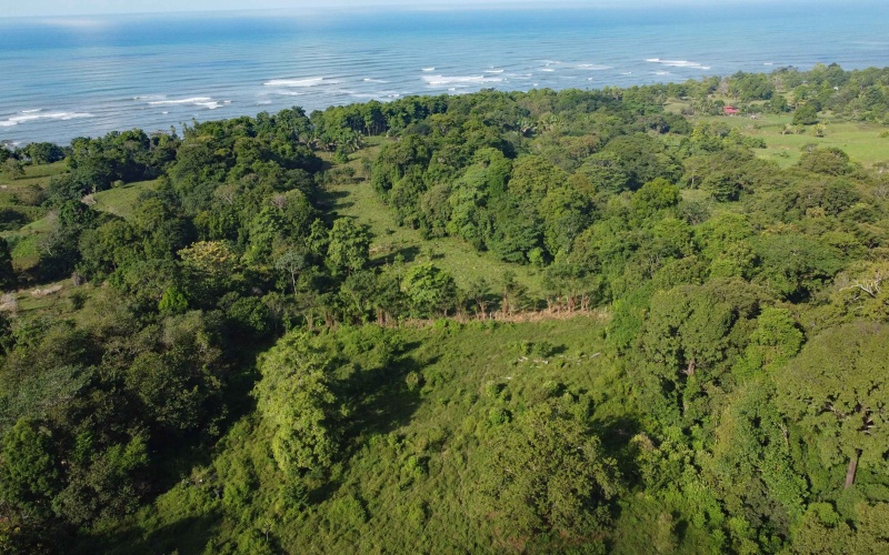 24 hectares for sale, Punta Burica Costa Rica, Costa Rica real estate, Real estate for sale, Land for sale, Beach front, Ocean front, Mountain property for sale, Keller Williams, Pavones, Costa Rica