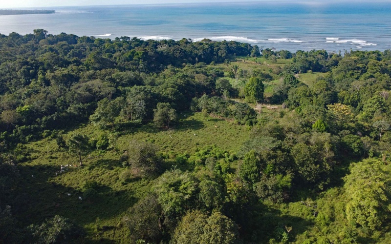 24 hectares for sale, Punta Burica Costa Rica, Costa Rica real estate, Real estate for sale, Land for sale, Beach front, Ocean front, Mountain property for sale, Keller Williams, Pavones, Costa Rica