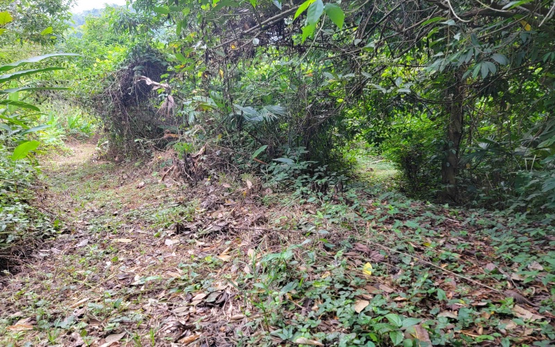 Land for sale, 38 hectares, 95 acres, Cuervito, Pavones, Mountain land, Beach properties, Costa Rica, real estate for sale, Pavones real estate for sale, Lote en venta, 