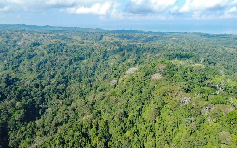 Land for sale, 38 hectares, 95 acres, Cuervito, Pavones, Mountain land, Beach properties, Costa Rica, real estate for sale, Pavones real estate for sale, Lote en venta, 