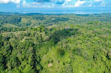 Land for sale, 38 hectares, 95 acres, Cuervito, Pavones, Mountain land, Beach properties, Costa Rica, real estate for sale, Pavones real estate for sale, Lote en venta, 