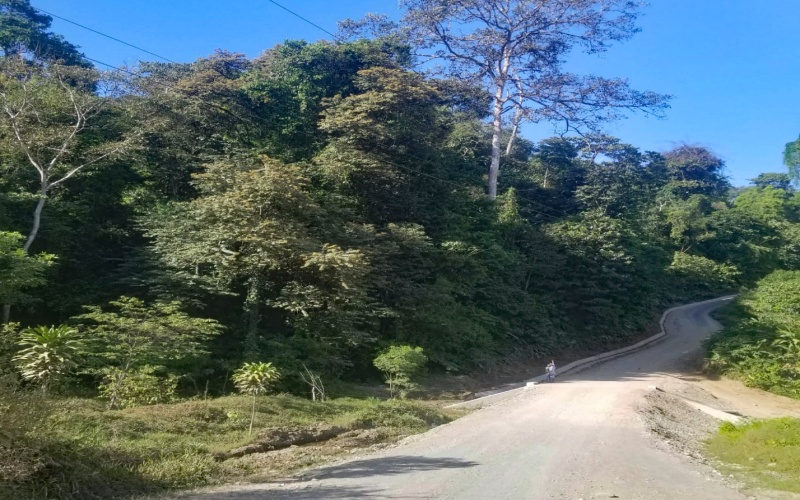 Land for sale, 38 hectares, 95 acres, Cuervito, Pavones, Mountain land, Beach properties, Costa Rica, real estate for sale, Pavones real estate for sale, Lote en venta, 