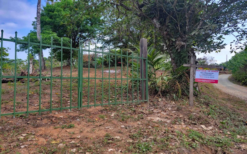 Lot for sale, Se vende, Lote, Pavones, Costa Rica, Punta Banco, Pilon, Remax, Keller Williams, 2 acres, Large lot, Beach lot, Mountain lot, Surf Property, Real Estate for sale. 