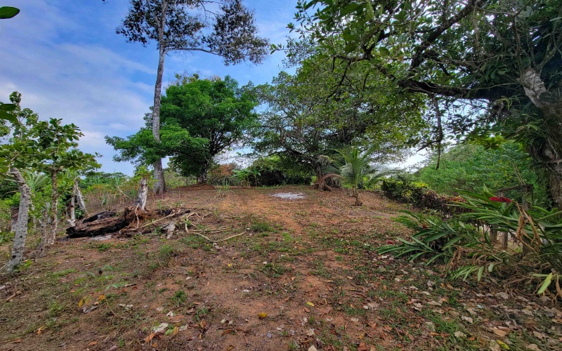 Lot for sale, Se vende, Lote, Pavones, Costa Rica, Punta Banco, Pilon, Remax, Keller Williams, 2 acres, Large lot, Beach lot, Mountain lot, Surf Property, Real Estate for sale. 