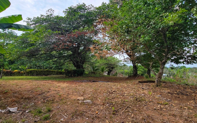 Lot for sale, Se vende, Lote, Pavones, Costa Rica, Punta Banco, Pilon, Remax, Keller Williams, 2 acres, Large lot, Beach lot, Mountain lot, Surf Property, Real Estate for sale. 