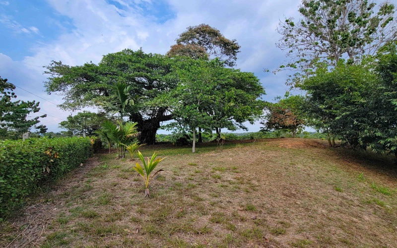 Lot for sale, Se vende, Lote, Pavones, Costa Rica, Punta Banco, Pilon, Remax, Keller Williams, 2 acres, Large lot, Beach lot, Mountain lot, Surf Property, Real Estate for sale. 