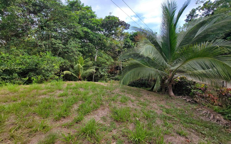 Lot for sale, Se vende, Lote, Pavones, Costa Rica, Punta Banco, Pilon, Remax, Keller Williams, 2 acres, Large lot, Beach lot, Mountain lot, Surf Property, Real Estate for sale. 