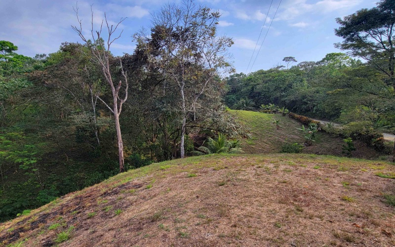 Lot for sale, Se vende, Lote, Pavones, Costa Rica, Punta Banco, Pilon, Remax, Keller Williams, 2 acres, Large lot, Beach lot, Mountain lot, Surf Property, Real Estate for sale. 