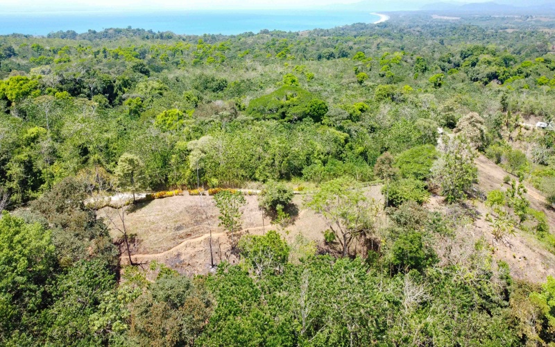 Lot for sale, Se vende, Lote, Pavones, Costa Rica, Punta Banco, Pilon, Remax, Keller Williams, 2 acres, Large lot, Beach lot, Mountain lot, Surf Property, Real Estate for sale. 