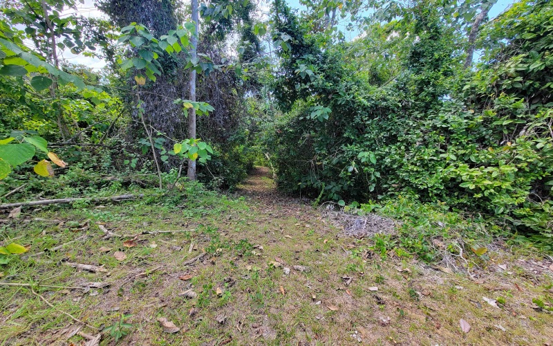 Pavones, Real Estate, Bienes Raices, Property for sale, Lot for sale, Ocean view, Mountain, Land for sale, Costa Rica, Punta Banco, Pilon, Salea, Surf Properties,  Keller Williams, Remax, Pavones Properties