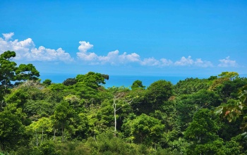 Pavones, Real Estate, Bienes Raices, Property for sale, Lot for sale, Ocean view, Mountain, Land for sale, Costa Rica, Punta Banco, Pilon, Salea, Surf Properties,  Keller Williams, Remax, Pavones Properties