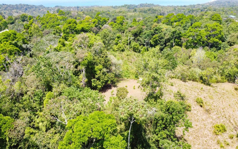 Pavones, Real Estate, Bienes Raices, Property for sale, Lot for sale, Ocean view, Mountain, Land for sale, Costa Rica, Punta Banco, Pilon, Salea, Surf Properties,  Keller Williams, Remax, Pavones Properties