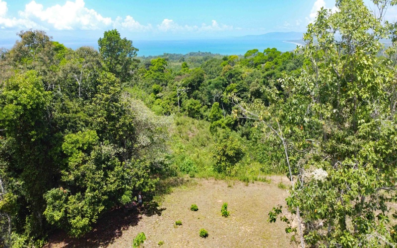 Pavones, Real Estate, Bienes Raices, Property for sale, Lot for sale, Ocean view, Mountain, Land for sale, Costa Rica, Punta Banco, Pilon, Salea, Surf Properties,  Keller Williams, Remax, Pavones Properties