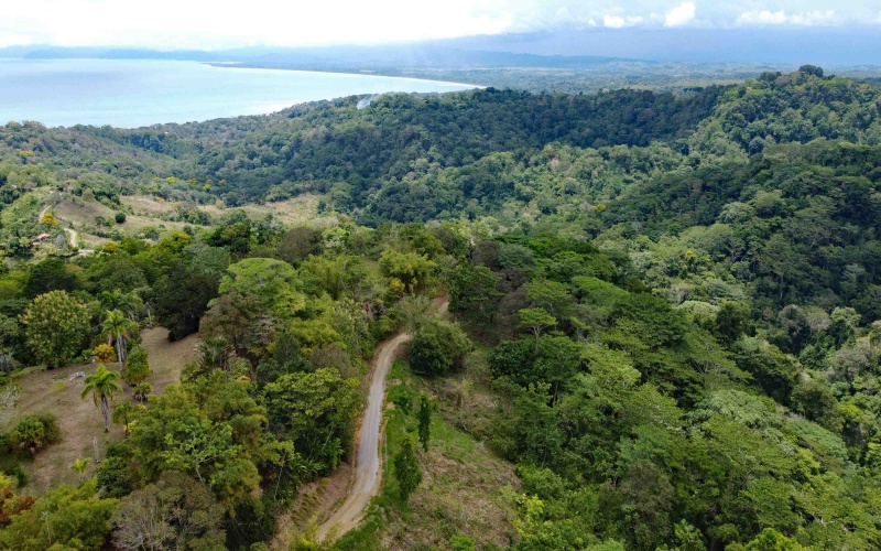 Pavones, Properties for sale, Real estate for sale, Lot, Lote, Venta, Bienes Raices, Keller Williams, Land for sale, Ocean view, La Hierba, Pavones Point, Surf Properties 