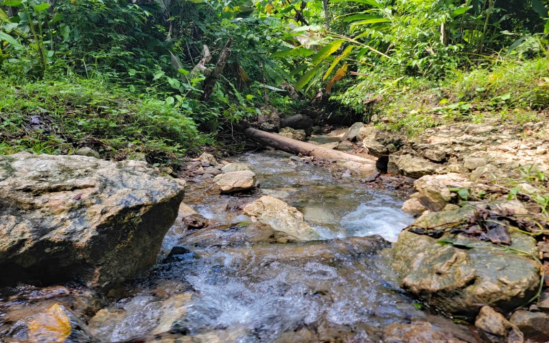 Piedras Blancas, National Park, Golfito, Osa, farm, 98 hectares, large parcel, Costa Rica, Real estate for sale, Land for sale, Land for development, Fire sale, Sale