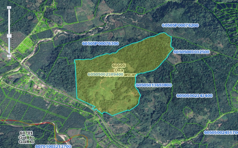 Piedras Blancas, National Park, Golfito, Osa, farm, 98 hectares, large parcel, Costa Rica, Real estate for sale, Land for sale, Land for development, Fire sale, Sale