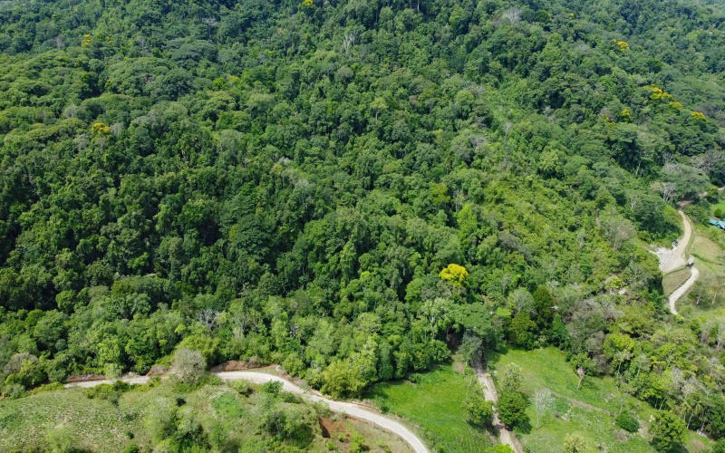 Land for sale, Lot for sale, Golfito Costa Rica, La esperanza, Se Vende, Lote en venta, Golfito real estate, Golfito Bienes Raices, 