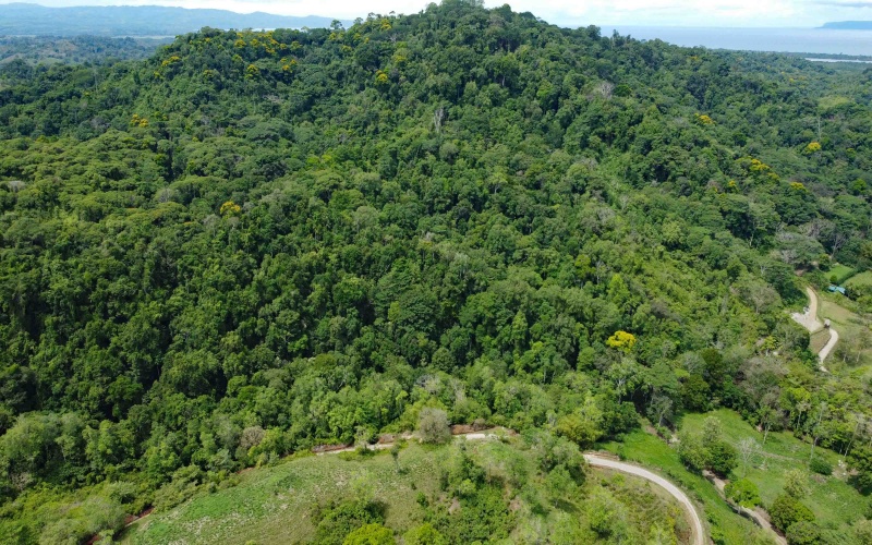 Land for sale, Lot for sale, Golfito Costa Rica, La esperanza, Se Vende, Lote en venta, Golfito real estate, Golfito Bienes Raices, 