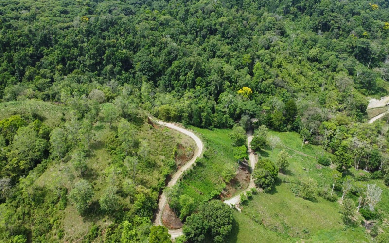 Land for sale, Lot for sale, Golfito Costa Rica, La esperanza, Se Vende, Lote en venta, Golfito real estate, Golfito Bienes Raices, 