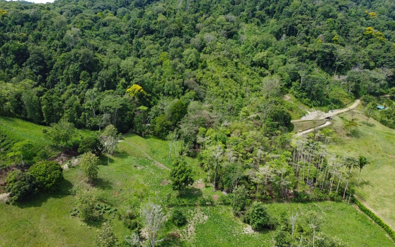 Land for sale, Lot for sale, Golfito Costa Rica, La esperanza, Se Vende, Lote en venta, Golfito real estate, Golfito Bienes Raices, 