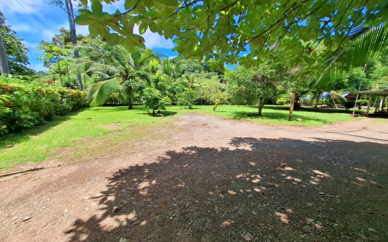 This beautiful property is located in La Hierba de Pavones, just 400 meters from the ocean, offering an ideal spot for those who seek tranquility and a surfer's lifestyle. With a completely flat 2,145 m² lot, it has been home to Pavones Surf Shop for the past 16 years, featuring three structures and great development potential.