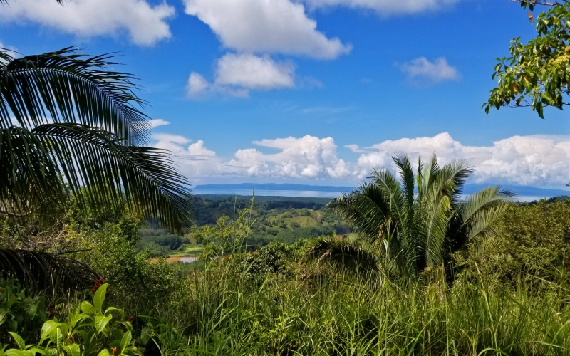 Ocean view from Finca for sale in Golfito Costa Rica