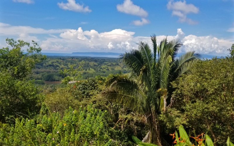 Oceanview lot for sale in Golfto Costa Rica