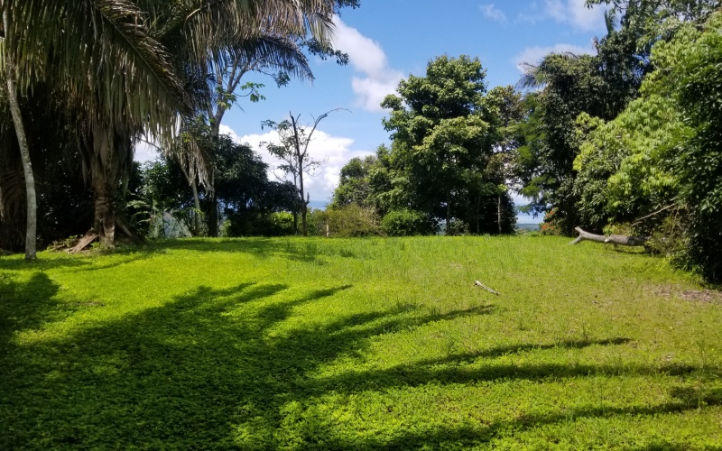 Oceanview lot for sale in Golfto Costa Rica
