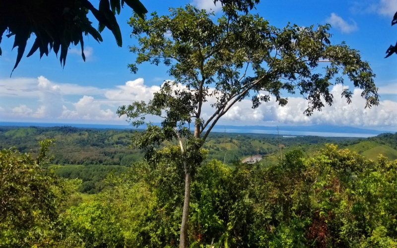 Ocean view from Finca for sale in Golfito Costa Rica