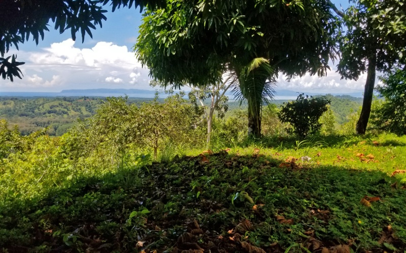 Oceanview lot for sale in Golfto Costa Rica