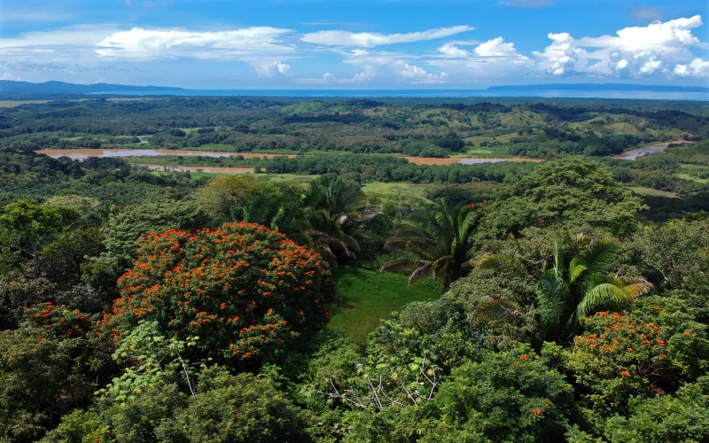 23 hectare Finca for sale Golfito Costa Rica