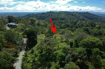 Lot for sale in Golfito Costa Rica with ocean view
