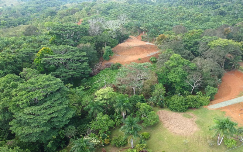 Property in Pilon Costa Rica with two plantels overlooking the beach