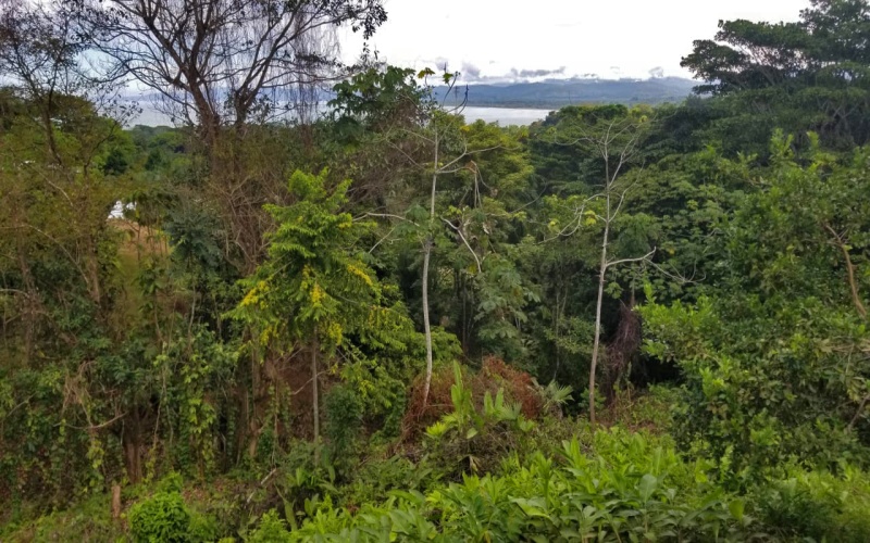 Once hectare property for sale in Pavones Costa Rica with an ocean view