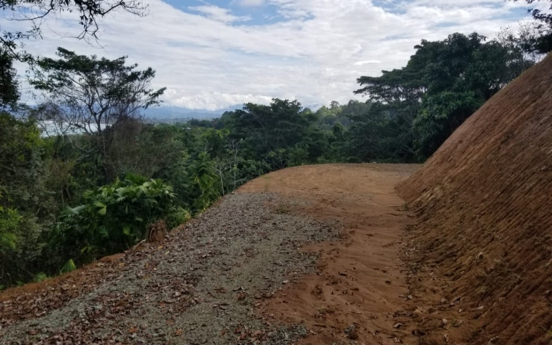 Once hectare property for sale in Pavones Costa Rica with an ocean view