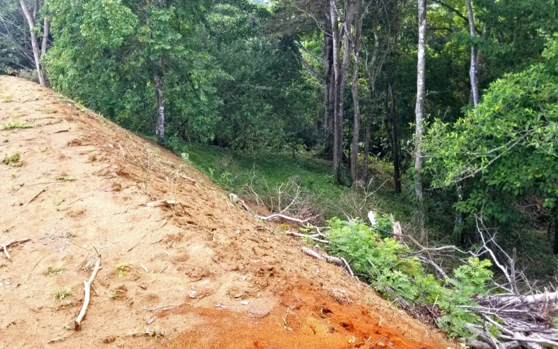 Property in Pilon Costa Rica with two plantels overlooking the beach