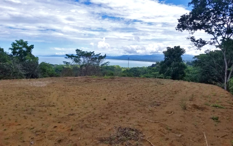 The view from the ground at one hectare property for sale