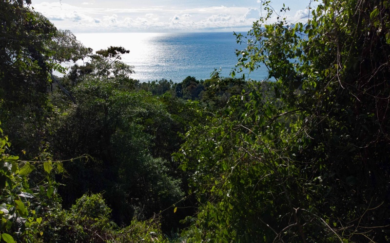 Lot for sale, Pavones, Costa Rica, Keller Williams,  Ocean View, Lot for hotel, Lot for luxury home, Ocean Front lot,  Punta Banco, Pilon, Zancudo, Beach lot, 