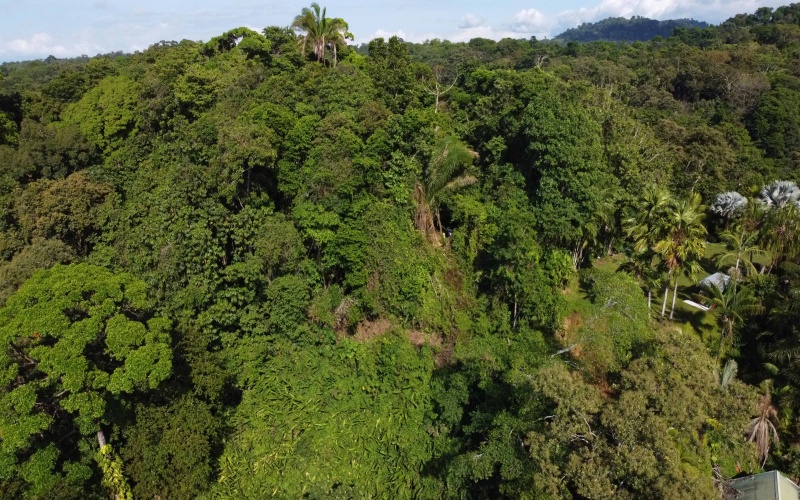 Lot for sale, Pavones, Costa Rica, Keller Williams,  Ocean View, Lot for hotel, Lot for luxury home, Ocean Front lot,  Punta Banco, Pilon, Zancudo, Beach lot, 