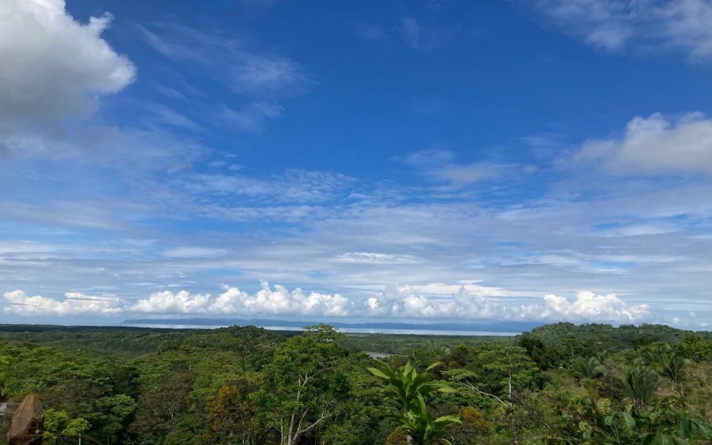 Farm for sale, Finca en venta, Real Estate, Costa Rica, Golfito, La Florida, Nazareth,  Playa Zancudo,  Rio Coto, Fishing, Ganaderia, Livestock, Se vende, Land for sale, 