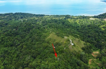 Land for sale, Property for sale, Real estate, Costa Rica, Pavones, Pilon, Cuervito, 3.3 hectares, 8.1 acres, Se vende, Lote en venta, 