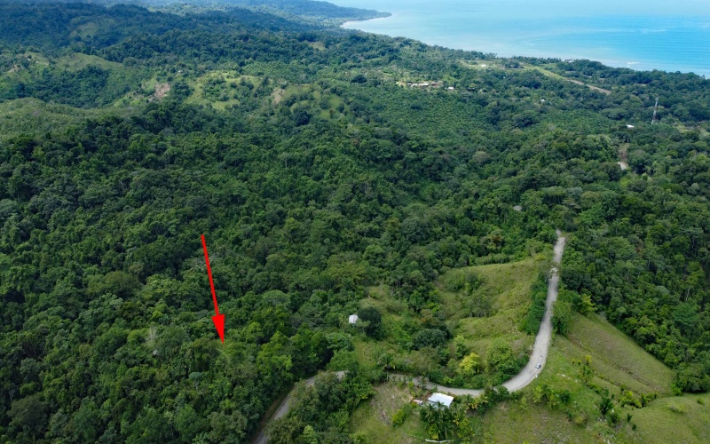 Land for sale, Property for sale, Real estate, Costa Rica, Pavones, Pilon, Cuervito, 3.3 hectares, 8.1 acres, Se vende, Lote en venta, 