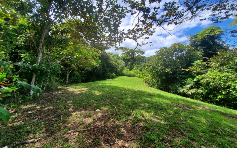 Land for sale, Property for sale, Real estate, Costa Rica, Pavones, Pilon, Cuervito, 3.3 hectares, 8.1 acres, Se vende, Lote en venta, 