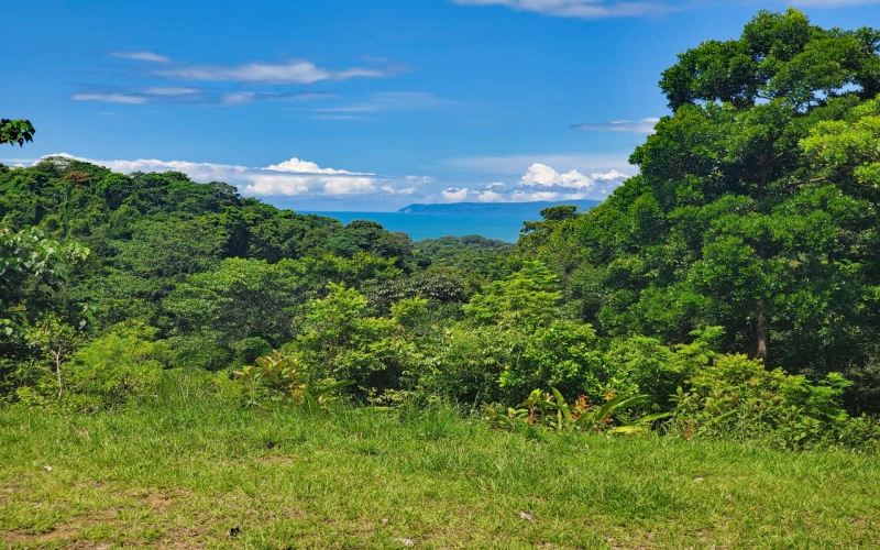 Land for sale, Property for sale, Real estate, Costa Rica, Pavones, Pilon, Cuervito, 3.3 hectares, 8.1 acres, Se vende, Lote en venta, 